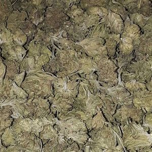 Meet your Posher, Aron